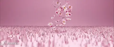 NIVEA